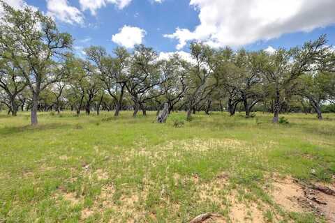12 Silas Trail, Fredericksburg, TX 78624