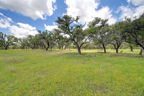 14 Silas Trail, Fredericksburg, TX 78624