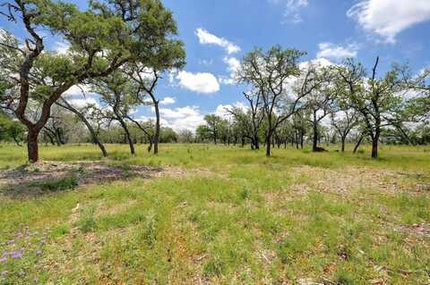 8 Silas Trail, Fredericksburg, TX 78624