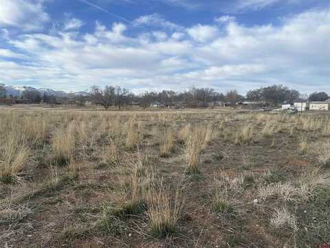 TBD Montelores Avenue, Cortez, CO 81321