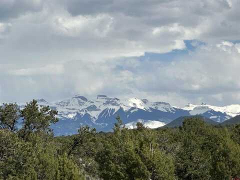 TBD Government Springs Road, Montrose, CO 81403