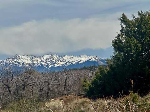 N Gurley Reserve, Norwood, CO 81423