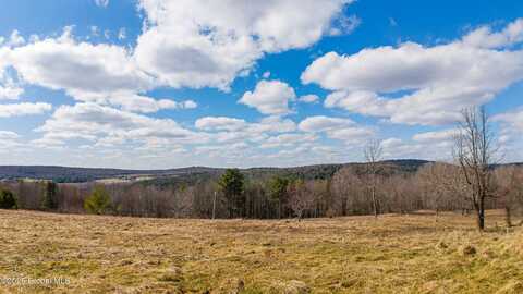 186 Chamberlin Road, Maryland, NY 12116