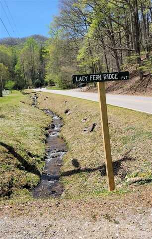 28 Lacy Fern Ridge, Sylva, NC 28779