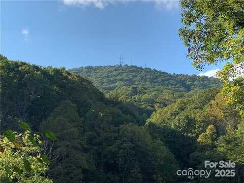 107 Rice Road, Asheville, NC 28806