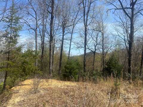 32 Wild Iris Road, Brevard, NC 28712
