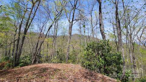 31 Lacy Fern Ridge, Sylva, NC 28779