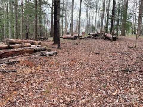 0.86 Ac Lot LAKEMONT Drive, Flat Rock, NC 28731