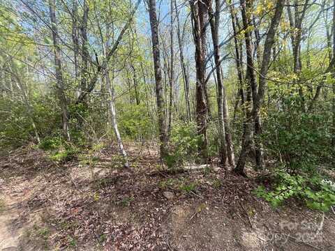 00 Western Red Bird Drive, Hendersonville, NC 28792