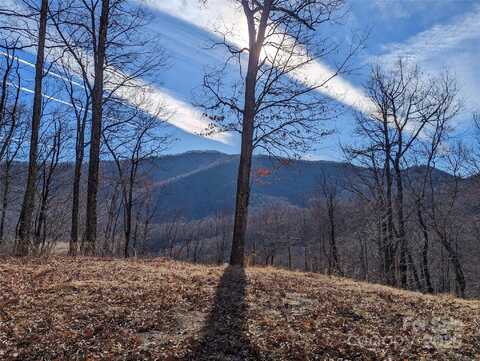 367 Kestrel Lane unit: T-85, Black Mountain, NC 28711