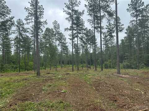Three Chopt Road lot: 4, Gum Spring, VA 23065