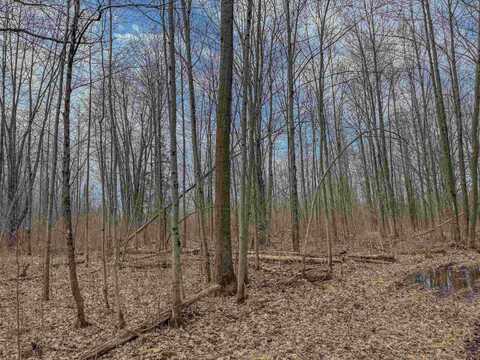 W10236 COUNTY ROAD M, Merrill, WI 54452