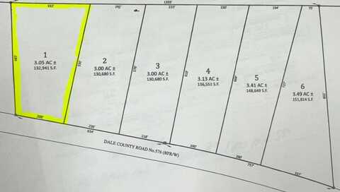 Lot 1 Dale County Rd 576, Headland, AL 36345
