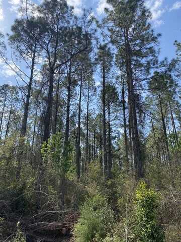 120th St, Chiefland, FL 32626