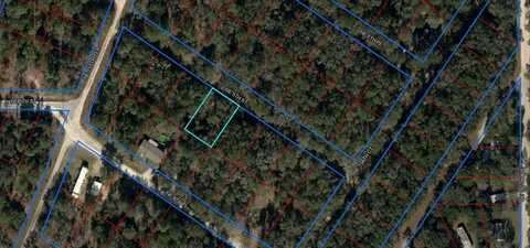LOT 13 5th St, Williston, FL 32696