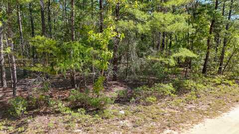 .98 Acre Margaret Boulevard, DeFuniak Springs, FL 32433