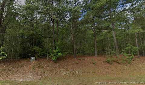 33 Peach Orchard Road, Wagram, NC 28396