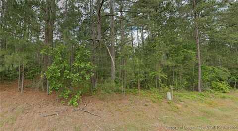 36 Peach Orchard Road, Wagram, NC 28396