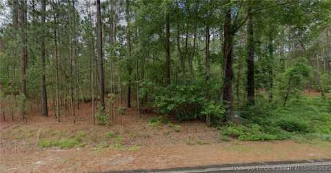 34 Peach Orchard Road, Wagram, NC 28396