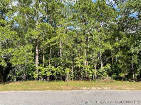 7904 Bankers Drive, Fayetteville, NC 28311