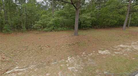 29 Peach Orchard Road, Wagram, NC 28396