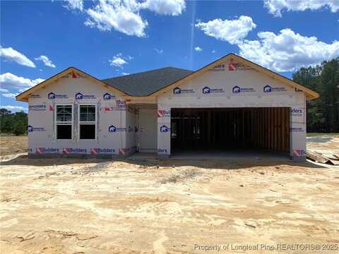 4858 Blue Springs (Lot 15) Road, Red Springs, NC 28377