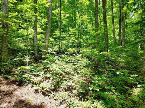 Lot 102 Mountain Vista, Bryson City, NC 28713