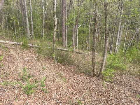 Lot 22 River Club Drive, Cullowhee, NC 28723