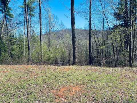 Lot 84 Garnet Rd, Sylva, NC 28779