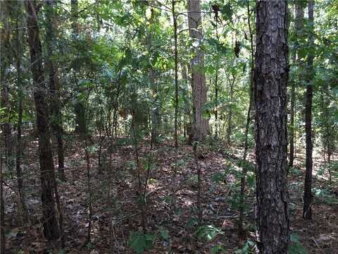 2900 TERRACE RIDGE Road NE, Conyers, GA 30012