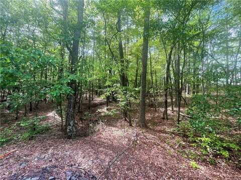 10017 Holly Court, Villa Rica, GA 30180