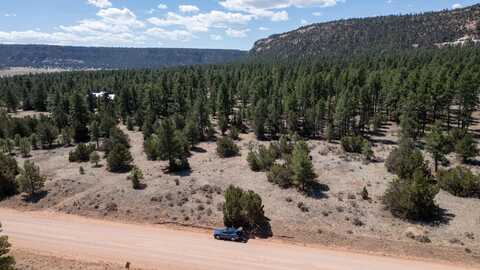 Timberlake Road lot: 24, Ramah, NM 87321
