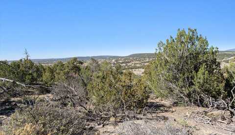 35 ALTA Court, Edgewood, NM 87015