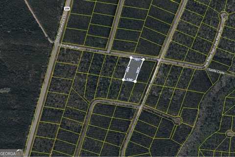 V/L 42 Fox, Waynesville, GA 31566