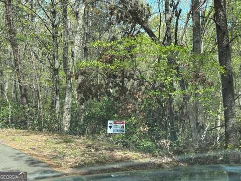 Lt699 Choctaw, Ellijay, GA 30540