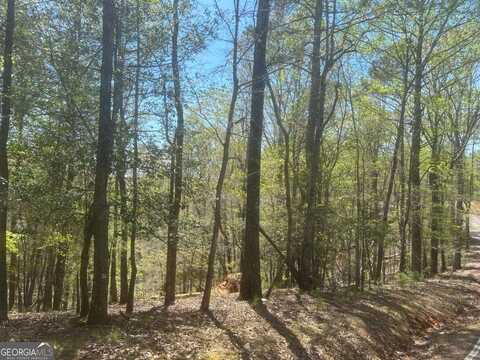 Lt1944 Palmetto, Ellijay, GA 30540