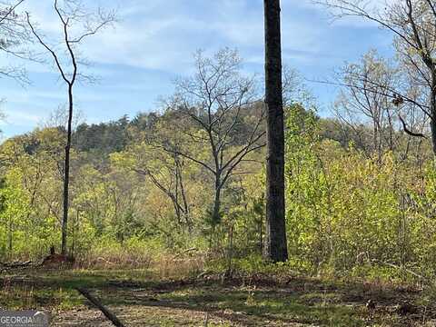 0 Stone Pile Gap, Ellijay, GA 30540