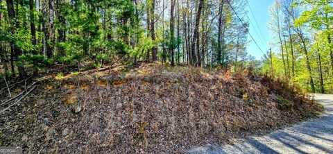P12 Goldmine, Ellijay, GA 30536