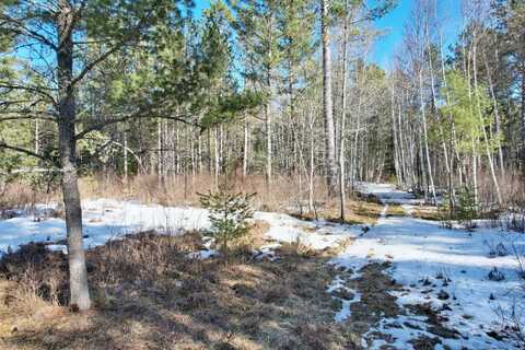 Off SPIRIT WOOD TR, Land O Lakes, WI 54540