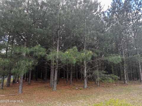 0 Nc 118, Grifton, NC 28530