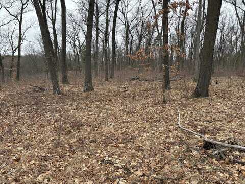 E Wilke Road, Fremont, MI 49412