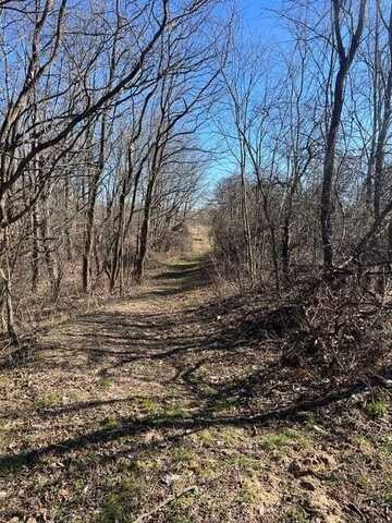 Parcel A W County Line Road, Greenville, MI 48838