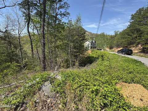1727 Bluff Ridge Road, Sevierville, TN 37876
