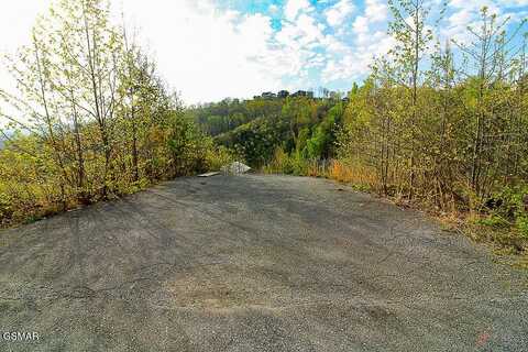 443 Red Hawk Way, Gatlinburg, TN 37738
