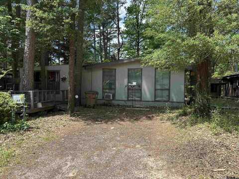 48 King Fisher, Winnsboro, TX 75494