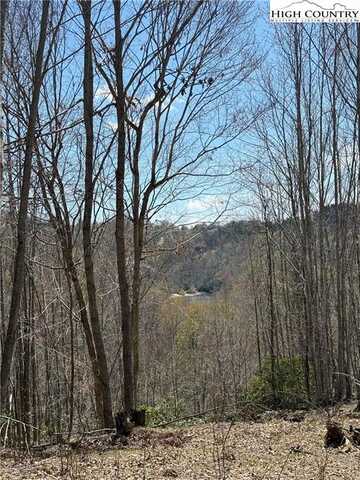 0 Beaver Dam Road, Elk Park, NC 28622