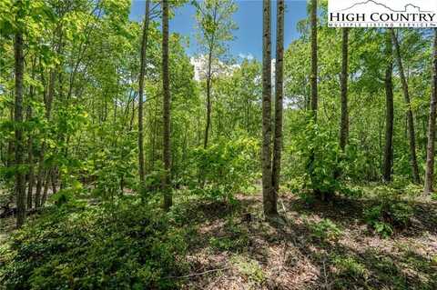 0 Beaver Dam Road, Elk Park, NC 28622
