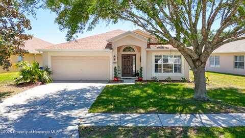 1082 Nodding Shade Drive, Brooksville, FL 34604