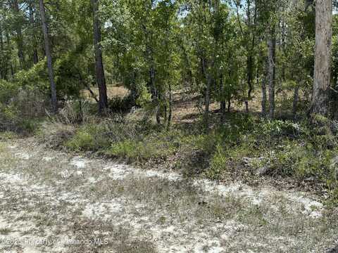 Snow Goose Avenue, Brooksville, FL 34614