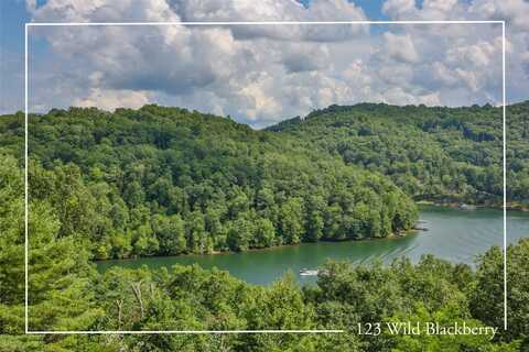 123 Wild Blackberry Ridge, Cullowhee, NC 28723